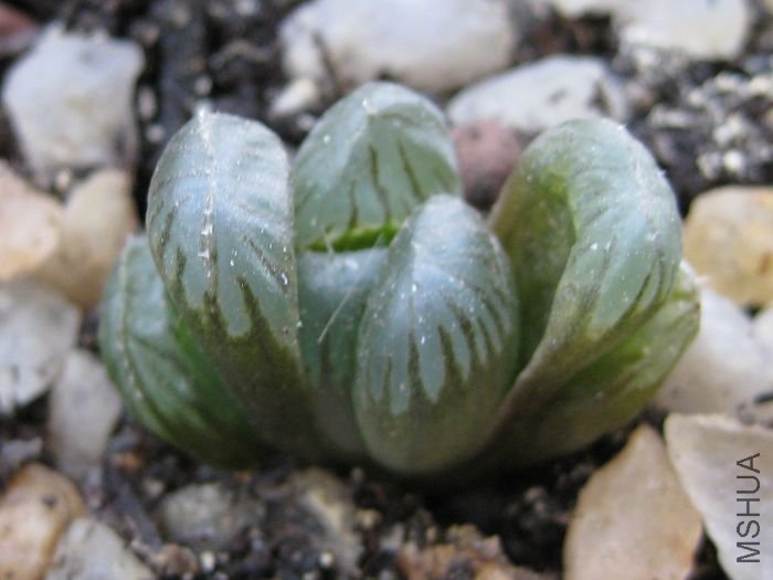 2010��7�� 060.jpg