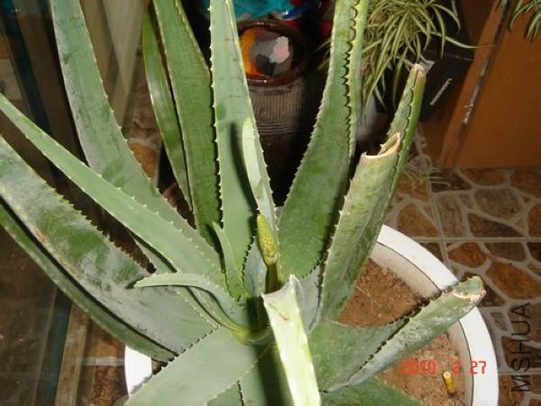 ����2��27��