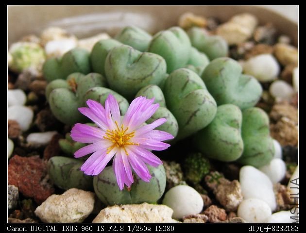 2010��6�� 209.jpg