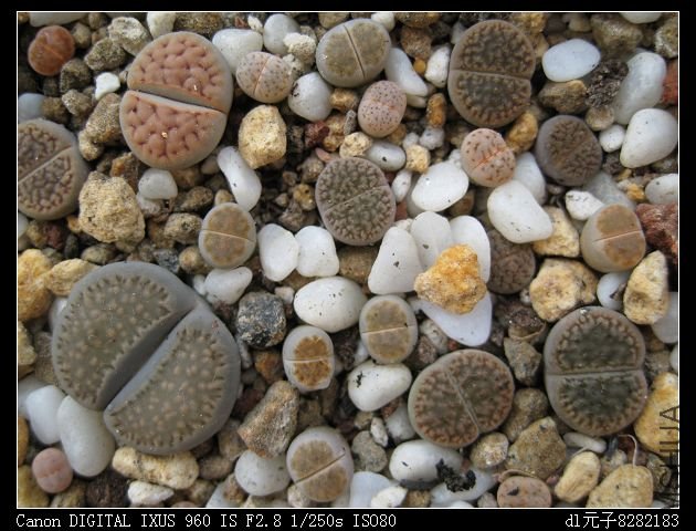 2010��5�� 006.jpg