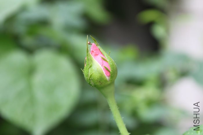 IMG_8569.jpg