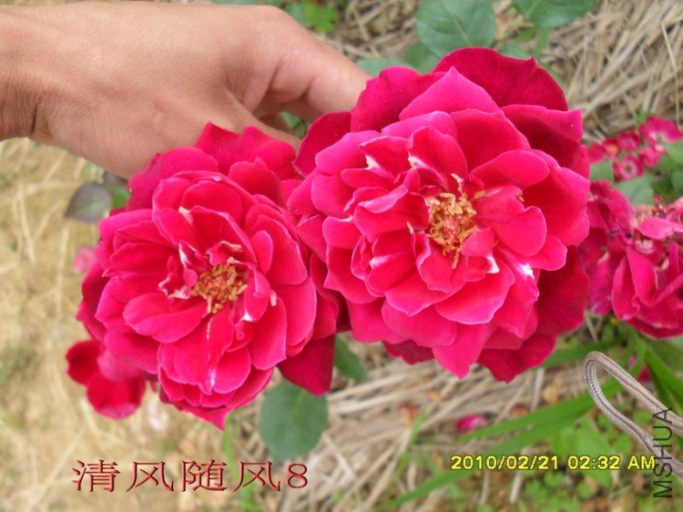 �����¼����Ϻɣ�11 (3).jpg