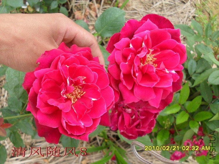 �����¼����Ϻɣ�11 (2).jpg