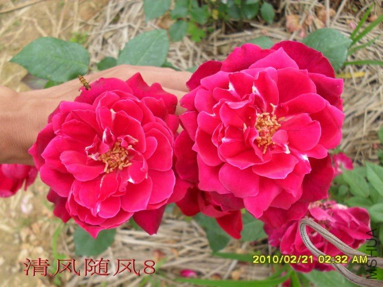 �����¼����Ϻɣ�11 (4).jpg