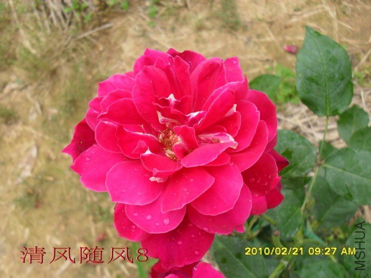 �����¼����Ϻɣ�11 (8).jpg