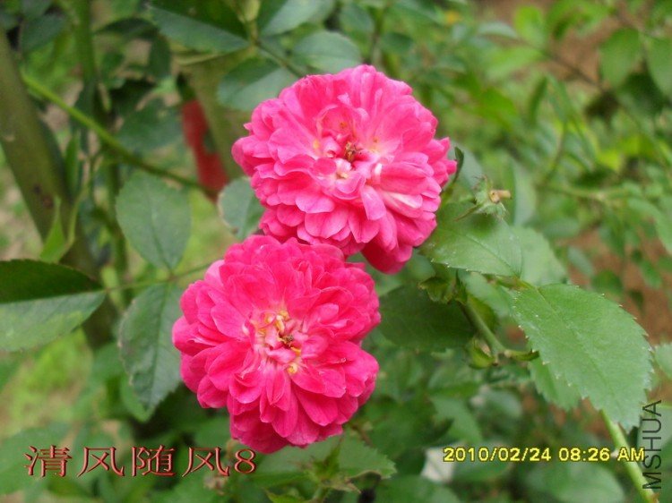 ����ɯ��11 (3).jpg