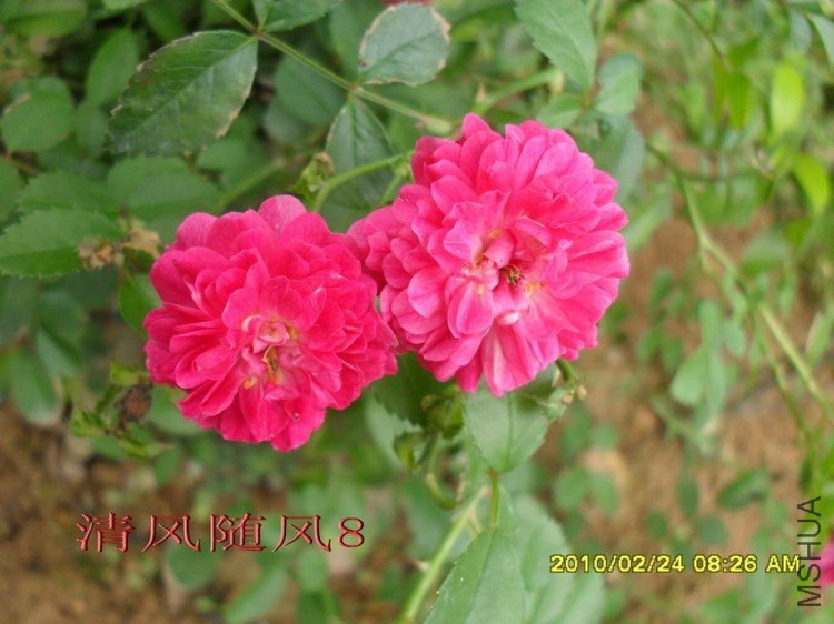 ����ɯ��11 (5).jpg