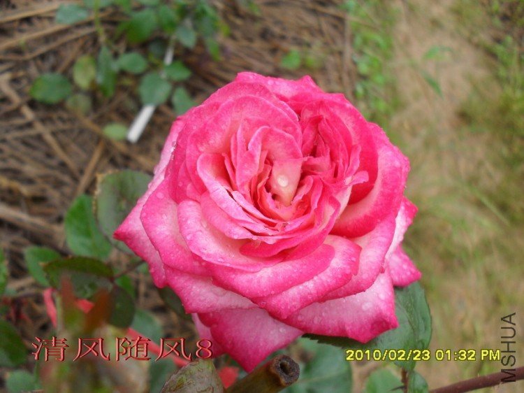 ����11 (1).jpg