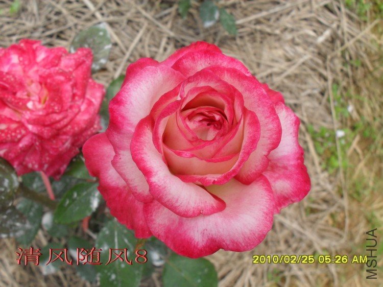 ����11 (5).jpg