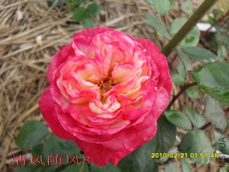 ����11 (8).jpg