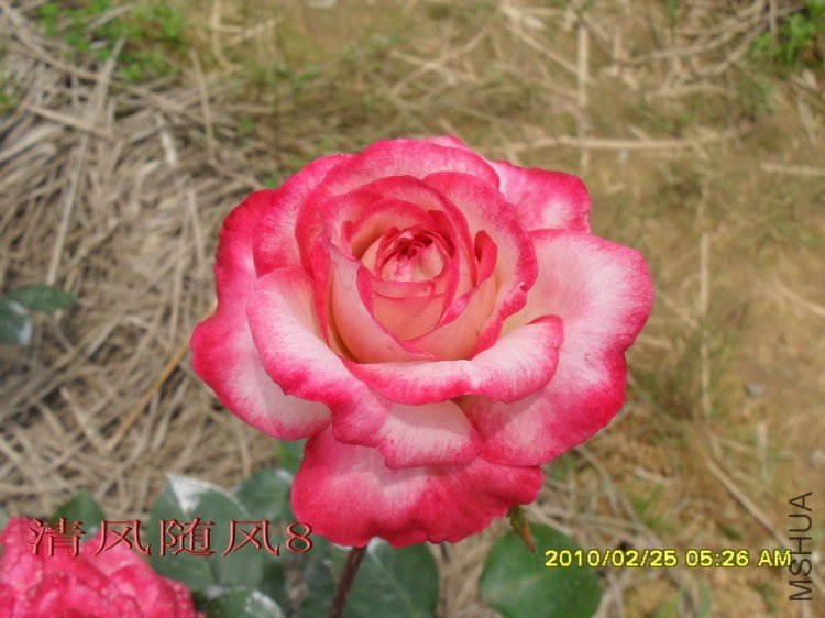 ����11 (4).jpg