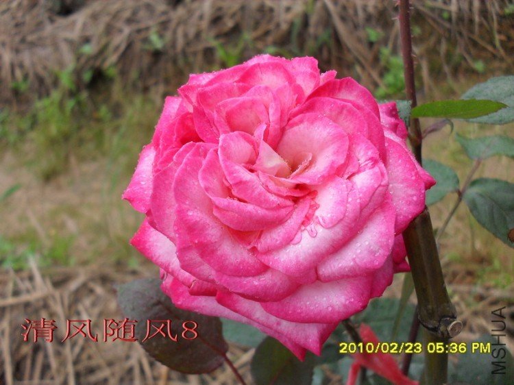 ����11 (2).jpg