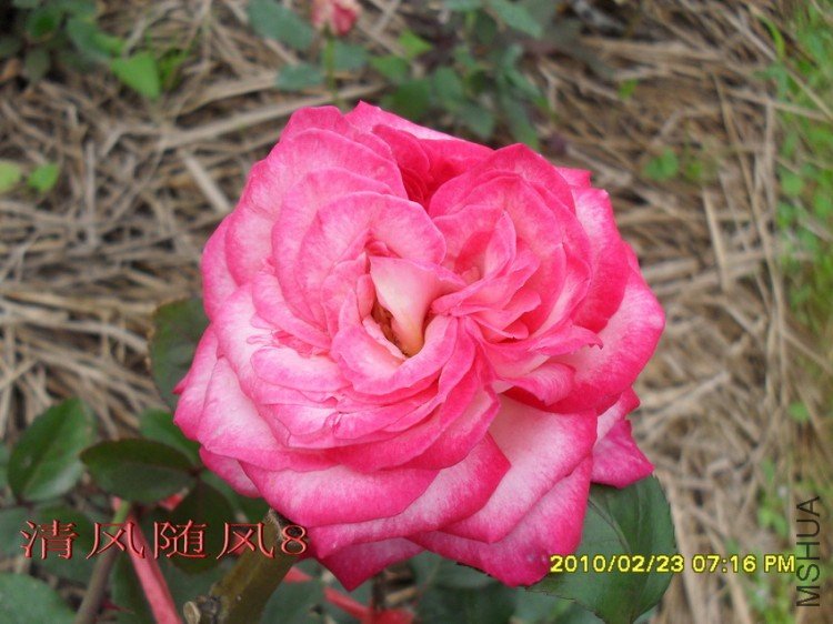 ����11 (3).jpg