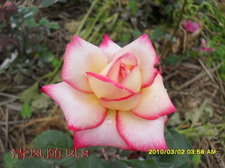 ����11 (6).jpg