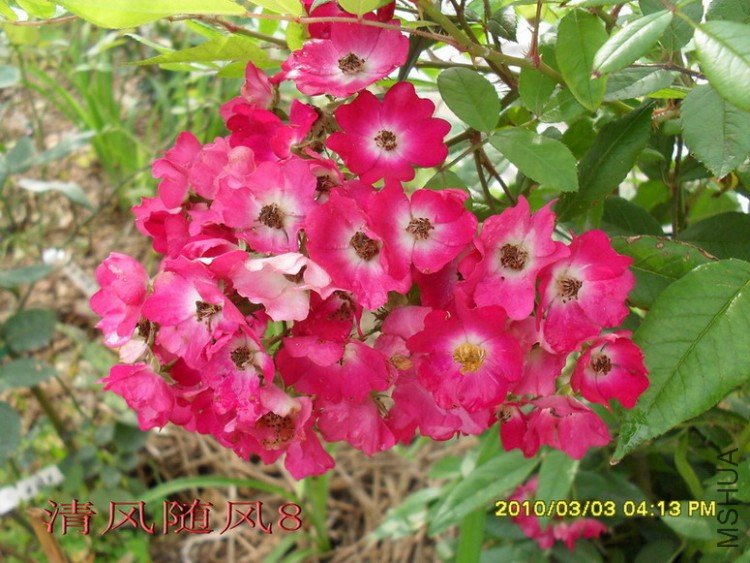 õ���̺11 (7).jpg