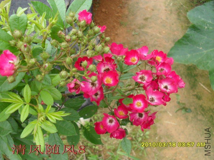 õ���̺11 (4).jpg