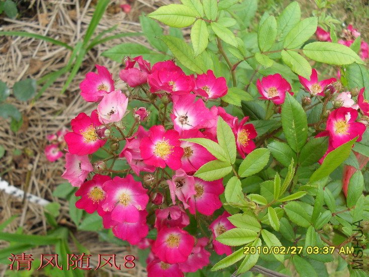 õ���̺11 (2).jpg