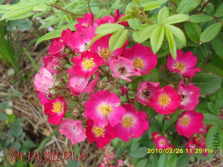 õ���̺11 (1).jpg