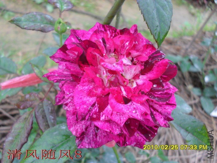 ��֬��11 (5).jpg