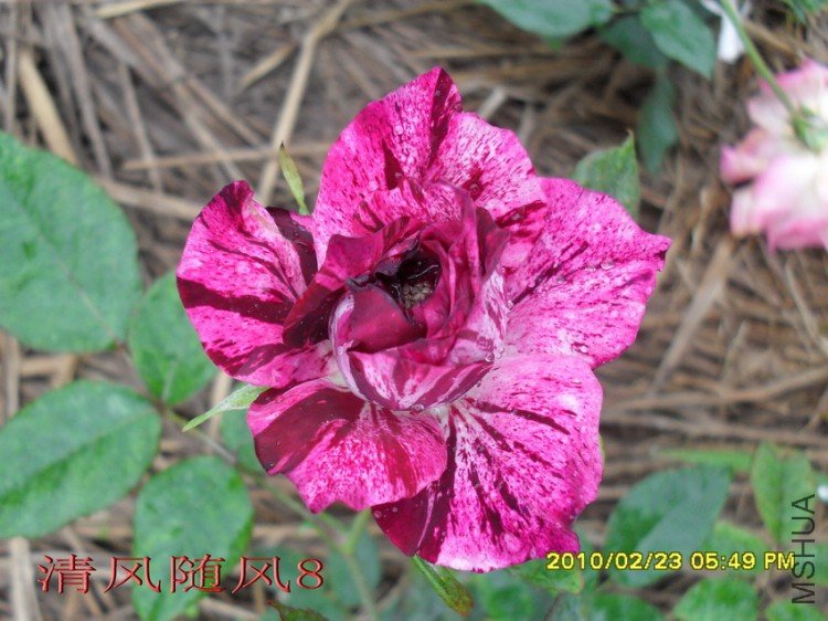 ��֬��11 (1).jpg