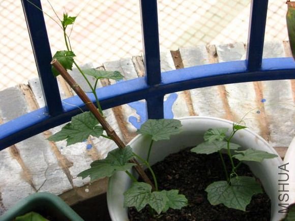 ˮ����������ˣ�����û���١�