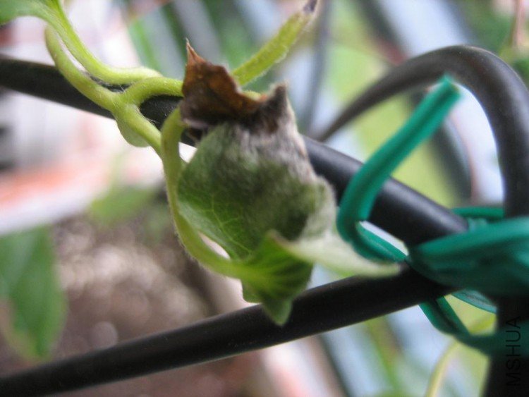 ���� 007.jpg