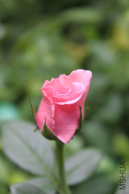 IMG_8641.jpg
