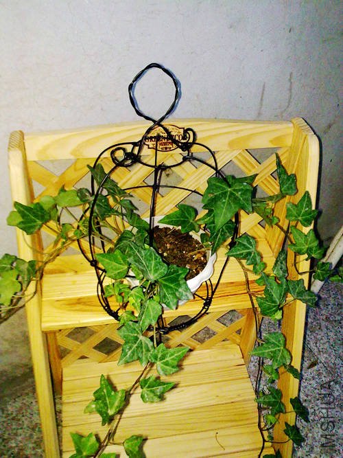20100715521.jpg