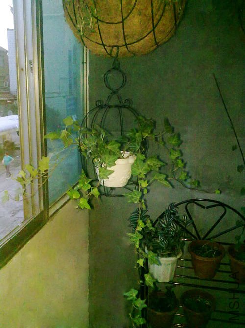 20100715526.jpg