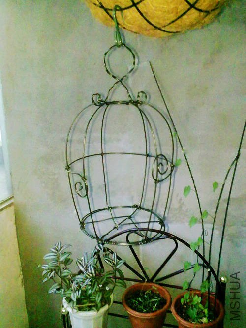 20100715520.jpg