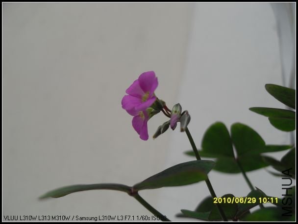 nEO_IMG_SDC11512.jpg
