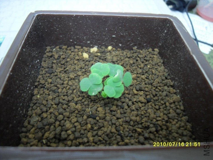 SDC11560.JPG