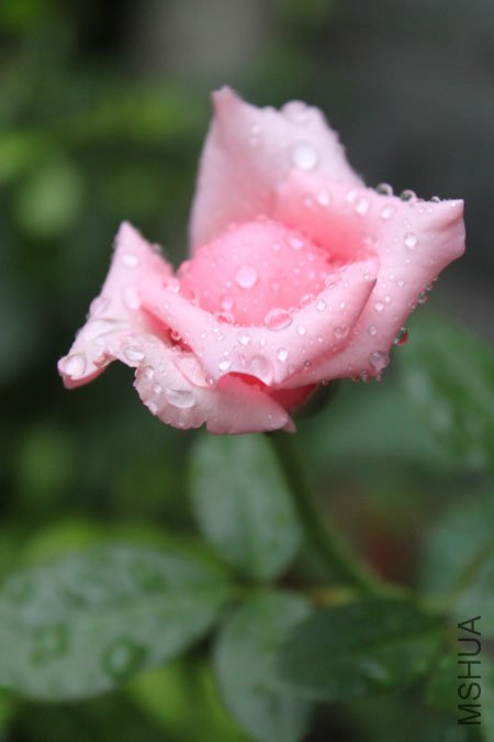 IMG_8657.jpg