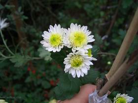 ������С FmrjCq7P.jpg