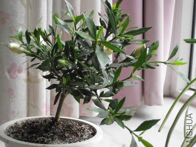 ������С ���� 638.jpg