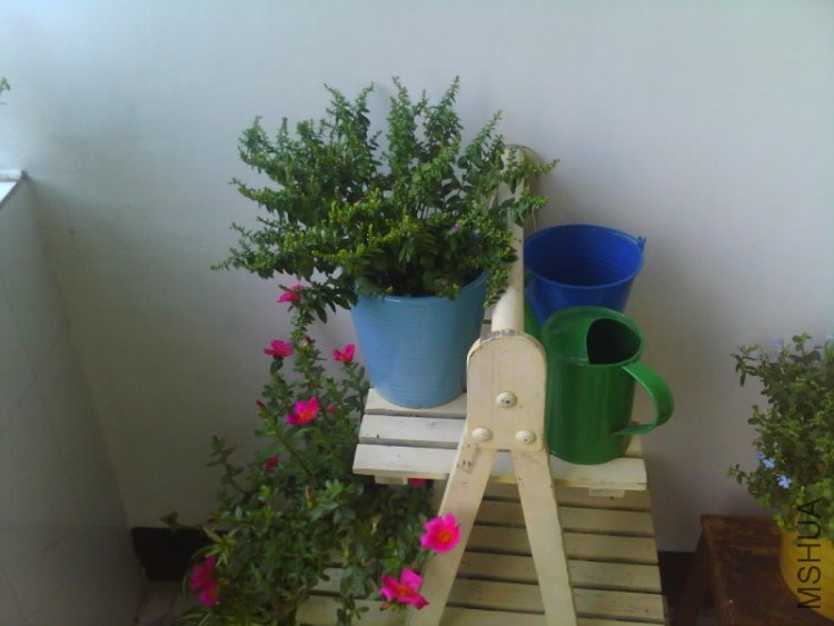 IMG1624A.jpg