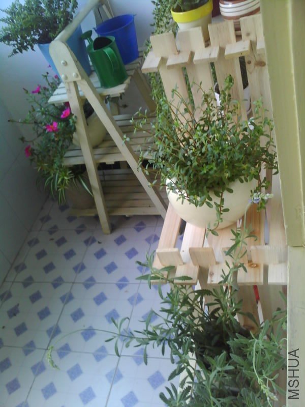 IMG1614A.jpg