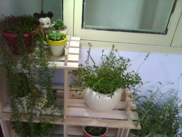 IMG1584A.jpg