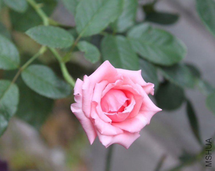 IMG_8963.jpg
