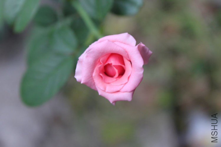 IMG_8964.jpg