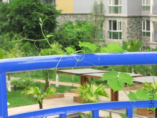 ˮ���Ѿ������������ˣ��ɻ�û�����١�