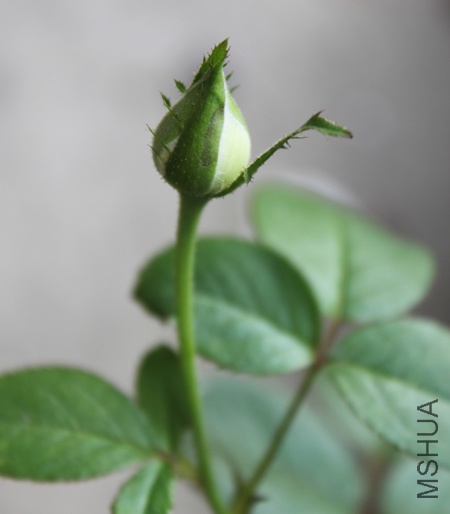 IMG_8965.jpg