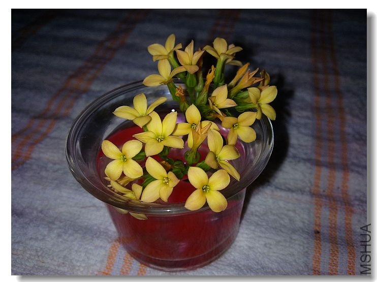 �ҵ��Ǹ��л�