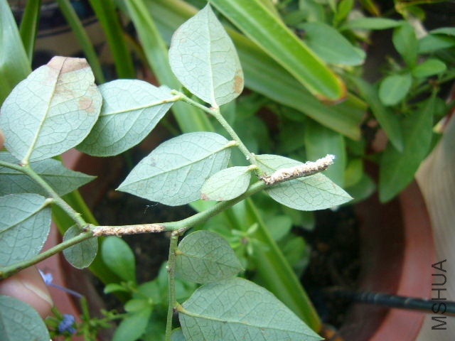 P1070255.JPG