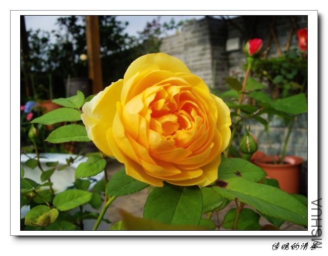IMGP7266.jpg