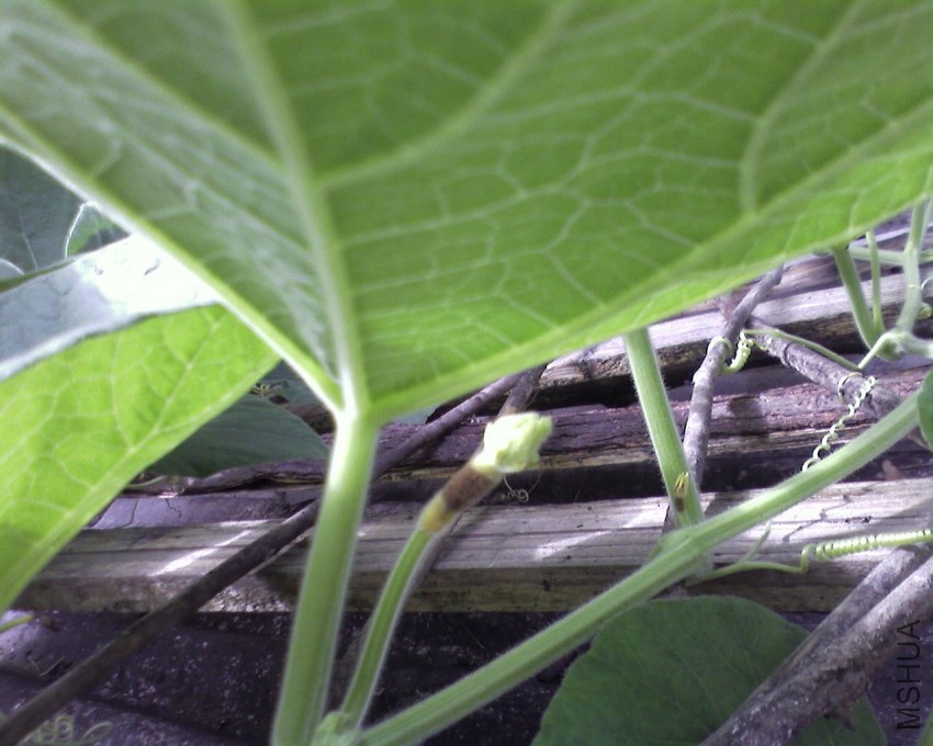 SP_A0425.jpg