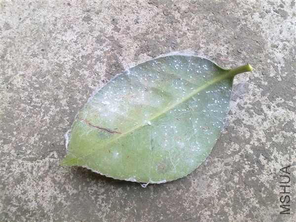 20100725764_����.jpg