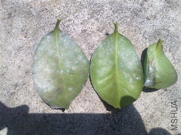 20100725763_����.jpg