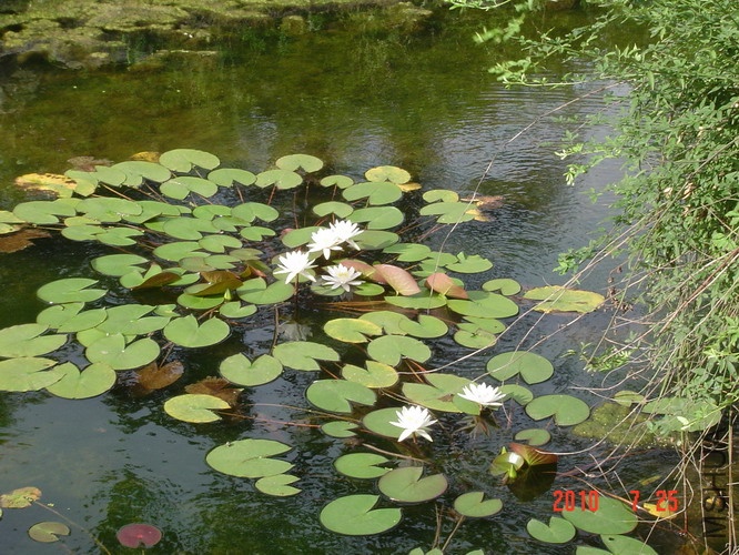 DSC06793_��С��С.JPG