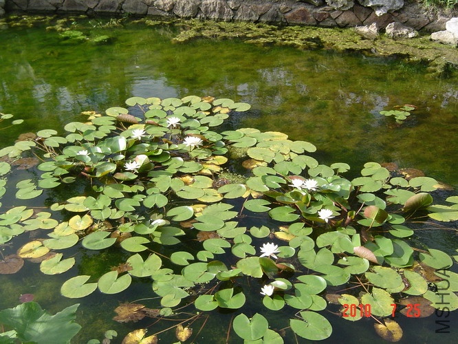 DSC06794_��С��С.JPG